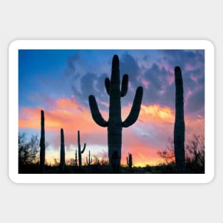 Saguaro Sunset Joshua Tree National Park Sticker